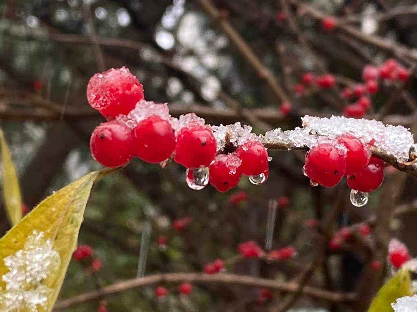 感悟《了凡四训》21：风雷之有益，一速，二勇。上善若水因其变