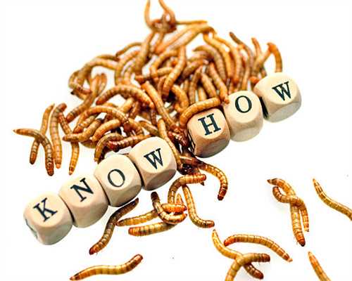 Redmi G 2021游戏本发布，高性能游戏本的新选择，首发价5699元