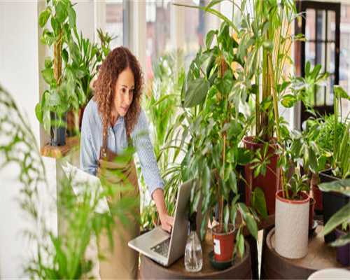 装备如何获得 三国辣么萌装备获得技巧介绍