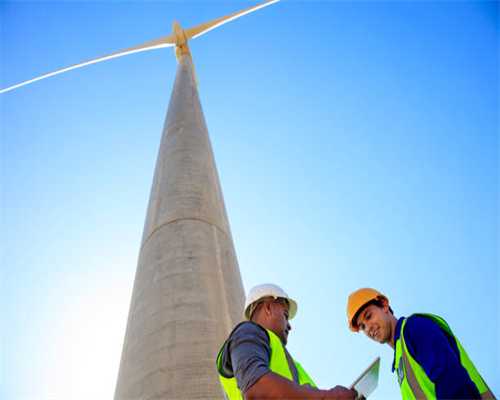 拯救手游荒第五弹：养养企鹅，打打棒球的休闲日子也不错