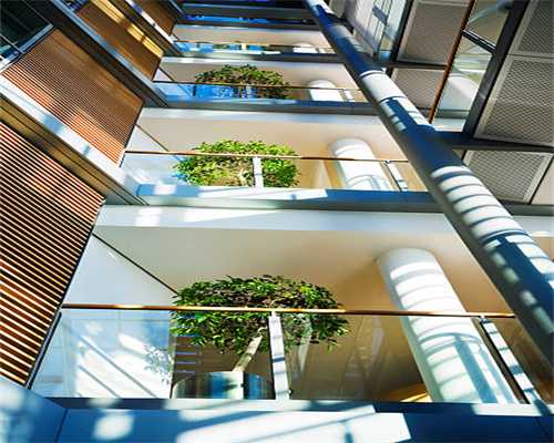 狼族崛起：狼族版王子复仇记改编的策略手游是种怎样的体验？