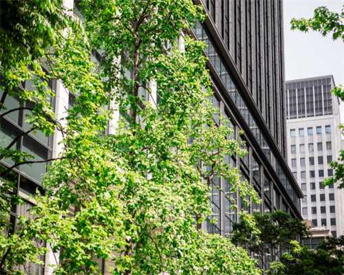 《侍魂5：零》讲了一个什么故事？