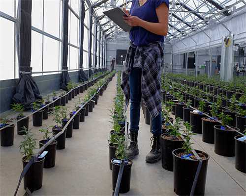 暗黑2重制版天梯赛季倒计时 天梯专属符文之语你做了吗？