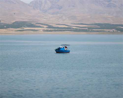 迷你世界手游野人怎么驯服？野人驯服变成伙伴教程分享