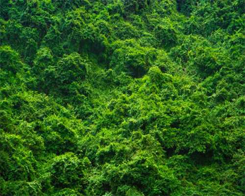 为什么vr眼镜看全景怎么不动，没法360度旋转