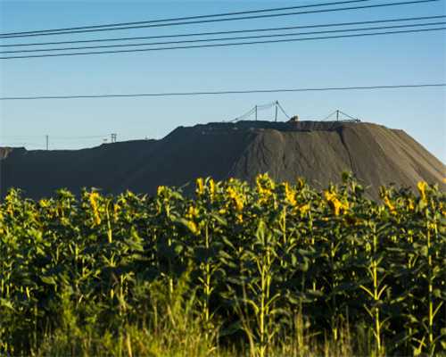 安卓《境界之炼金术士》汉化版下载 安卓游戏下载
