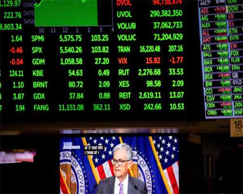 宠物猫咪有隐形睾丸，怎么办？