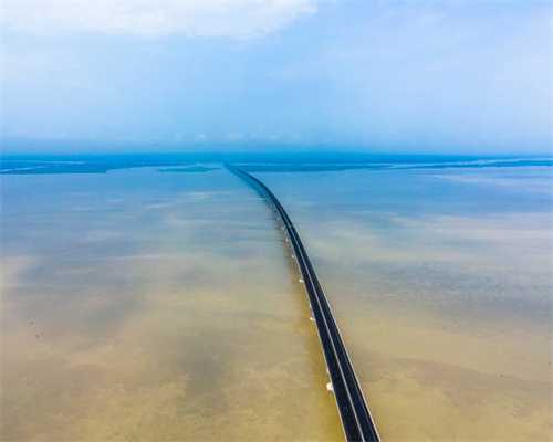 《黑暗与光明手游》生物资源丰富，骑龙飞行不用肝