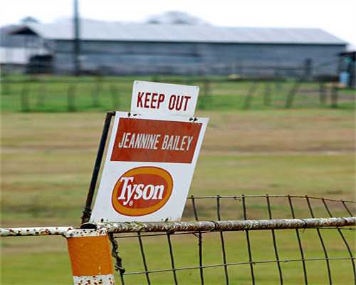 《太吾绘卷》全门派全期强度一览